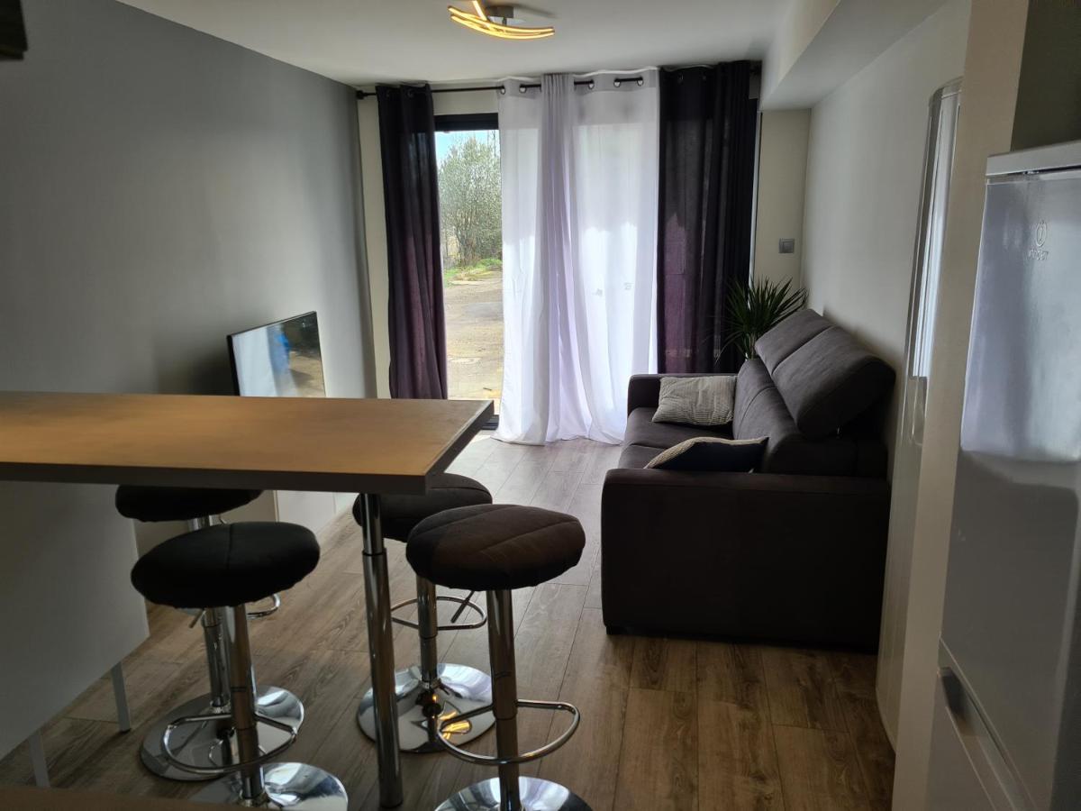 Spacieux Studio Dans Le Beaujolais Saint-Georges-de-Reneins Bagian luar foto